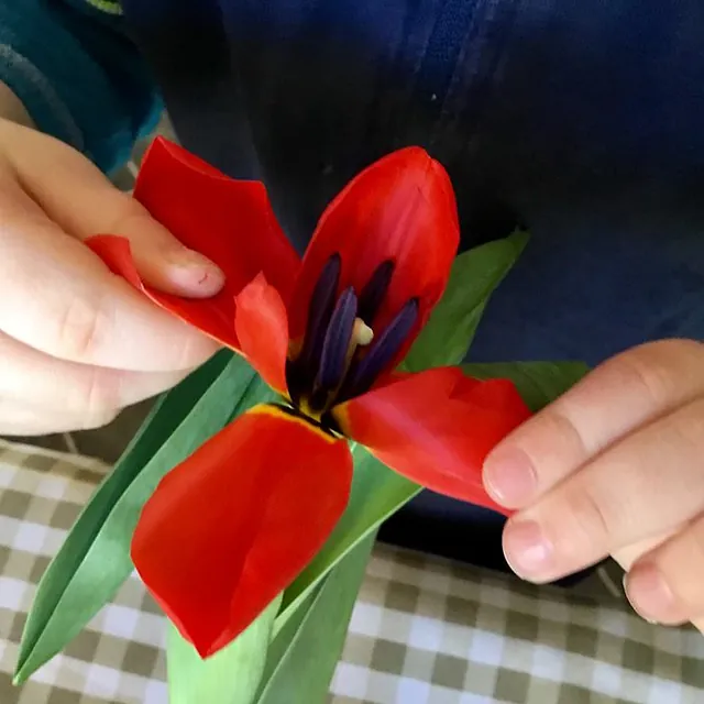 flower children nursery